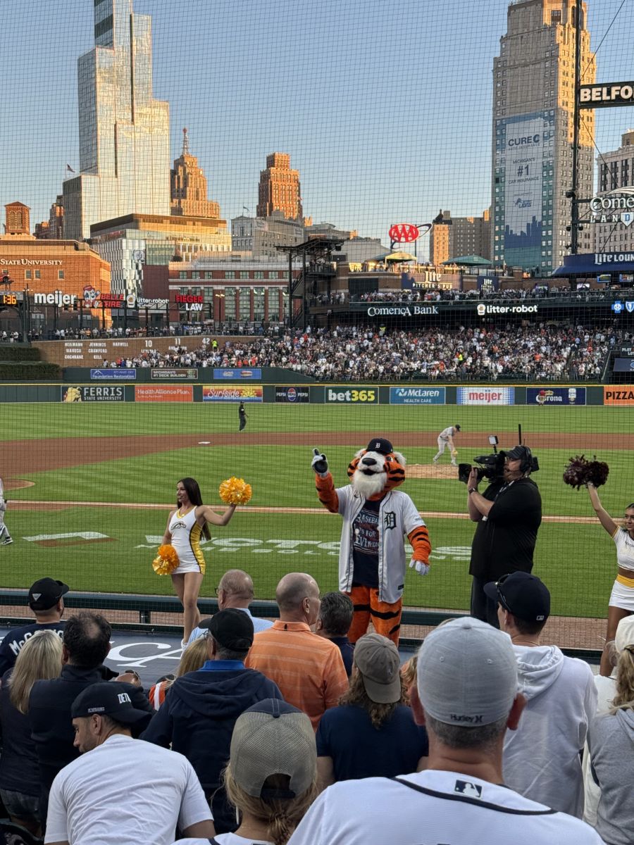 Game photo 19