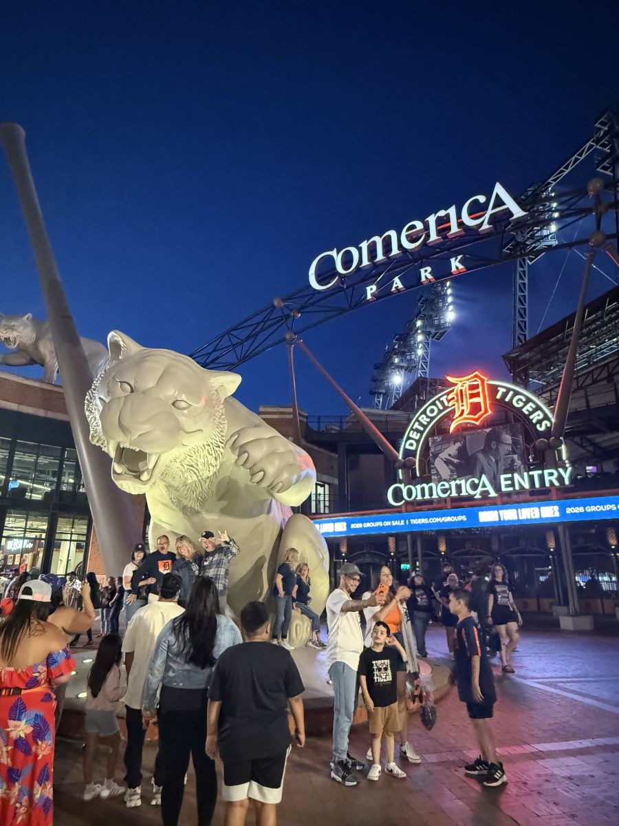 Game photo 24