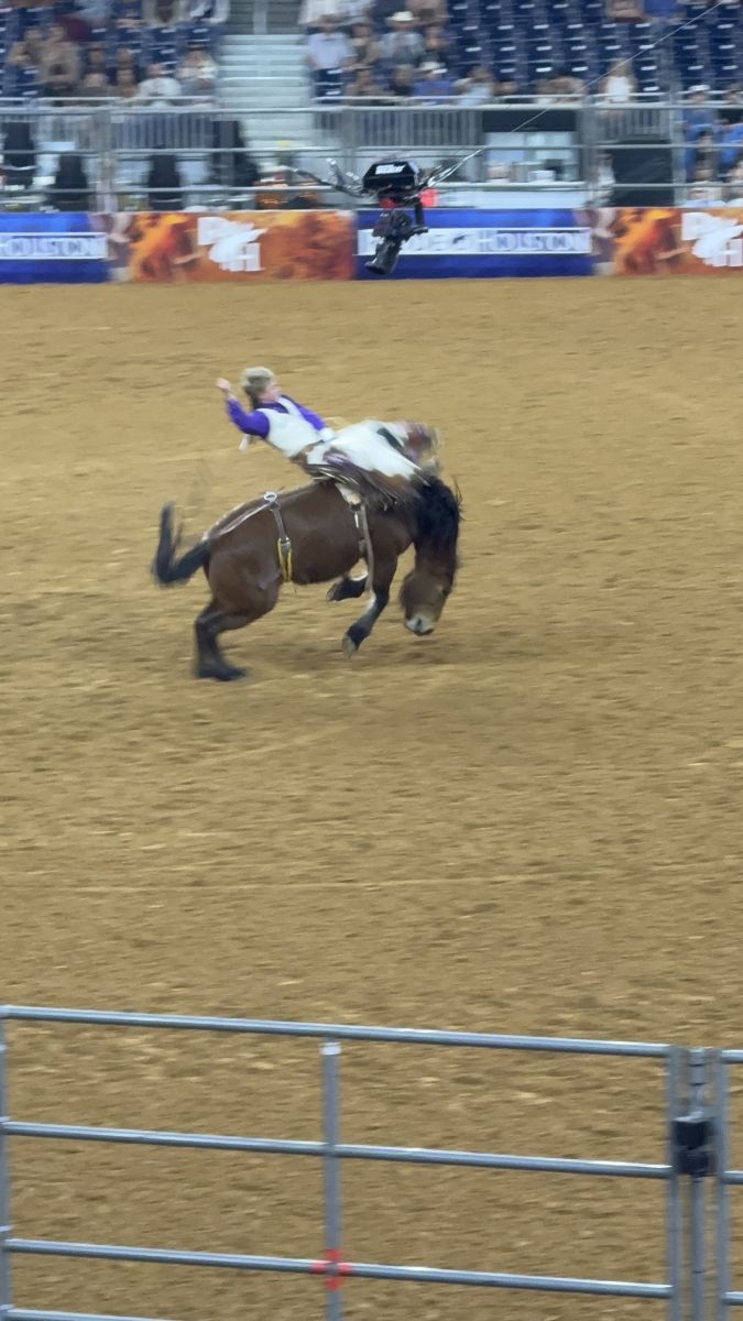Rodeo photo 10
