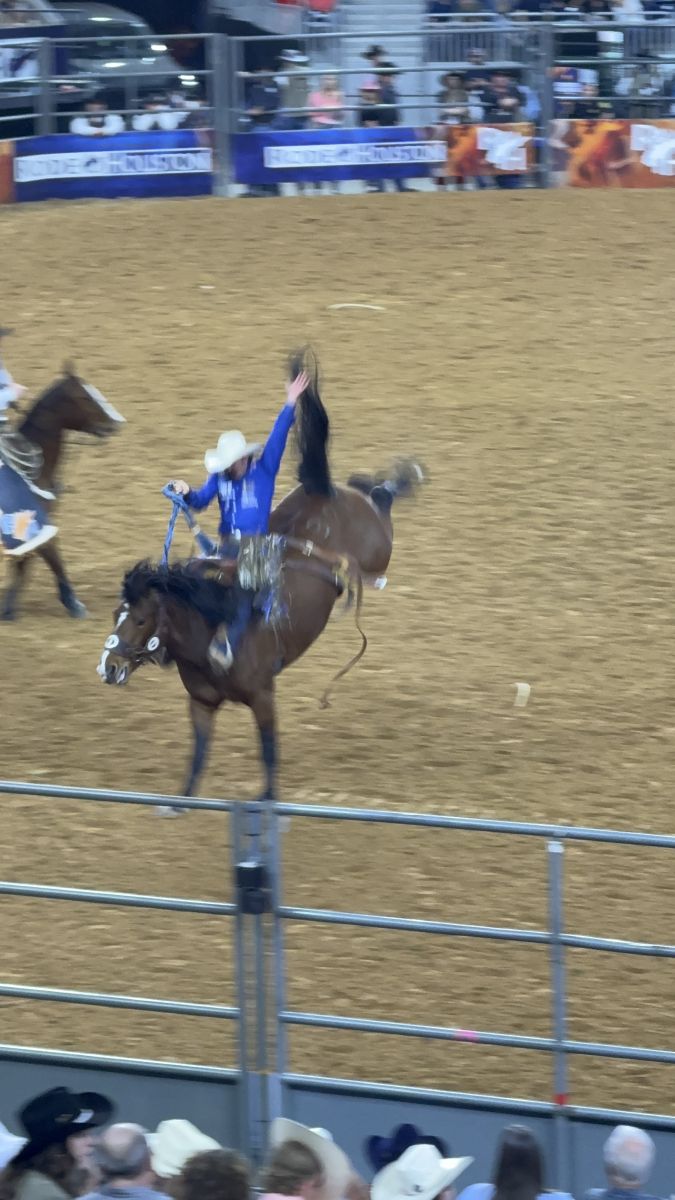 Rodeo photo 11