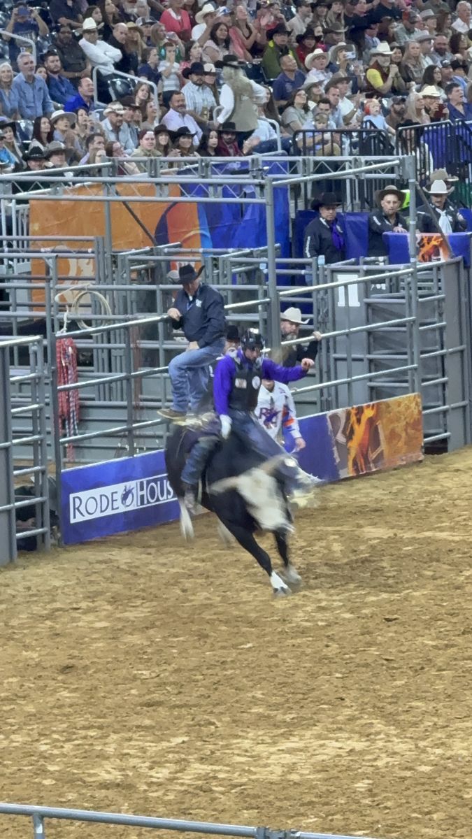 Rodeo photo 15