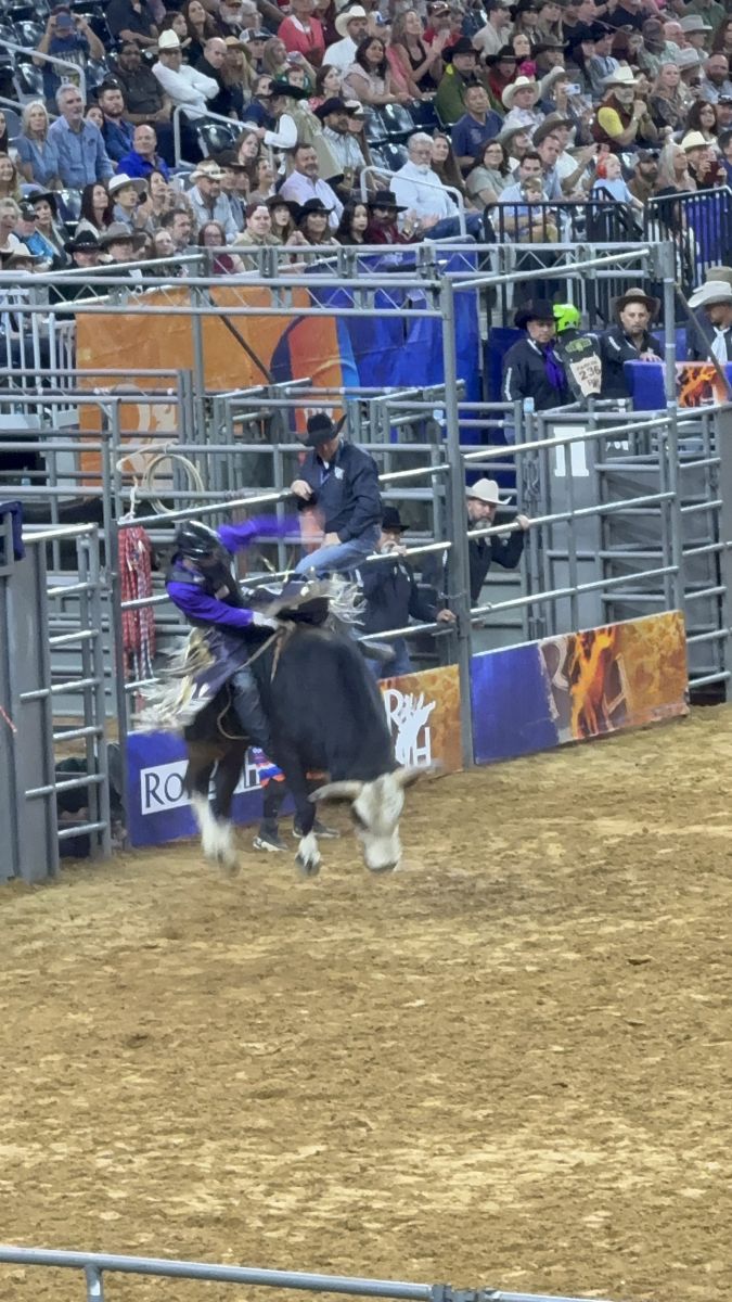 Rodeo photo 16