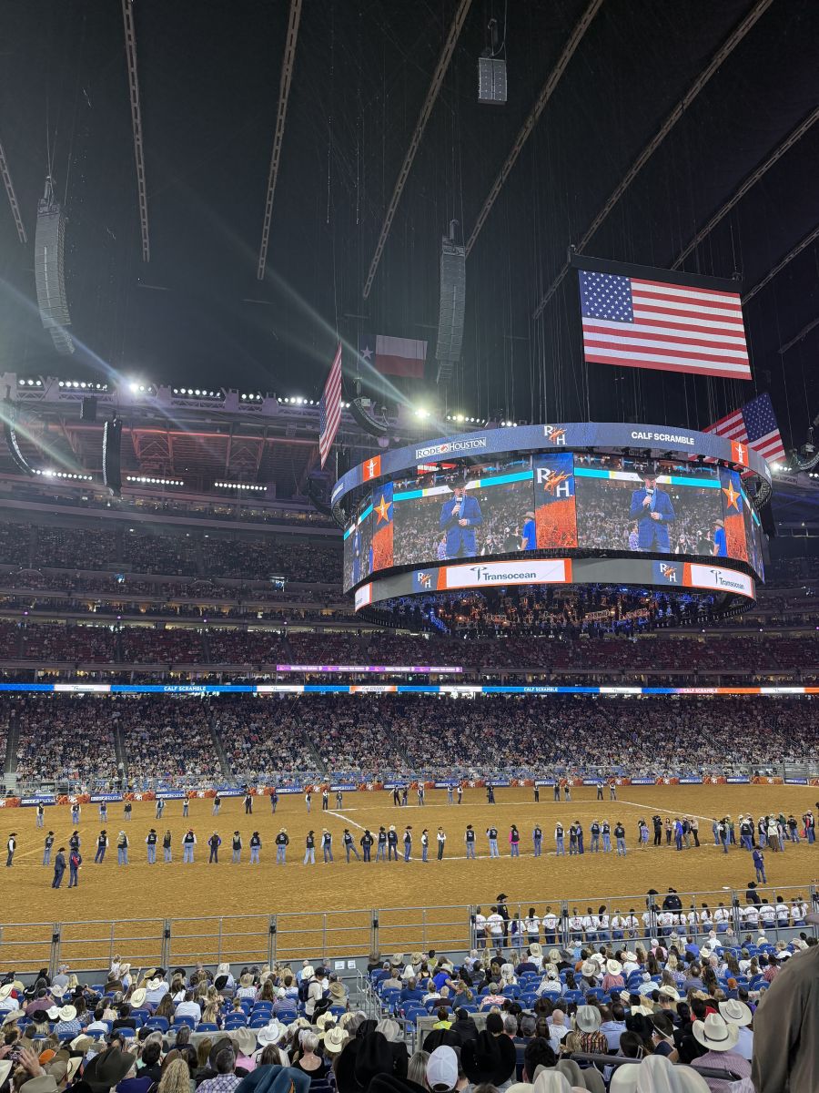 Rodeo photo 18