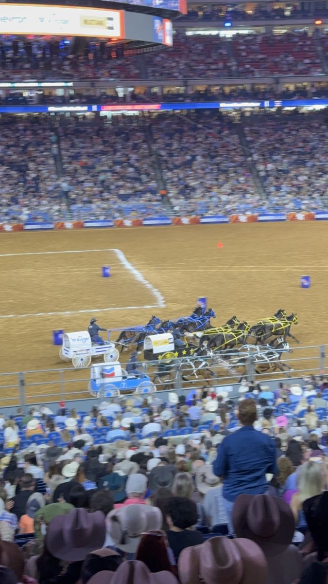 Rodeo photo 19